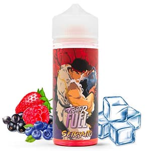 SEIRYUTO FIGHTER FUEL 100ML