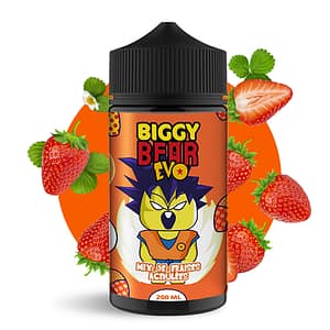 MIX DE FRAISES ACIDULEES - BIGGY BEAR EVO 200ML