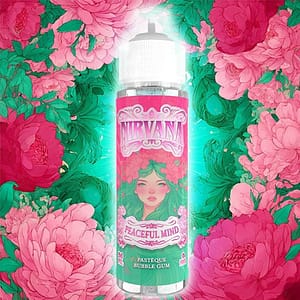 PEACEFUL MIND - NIRVANA