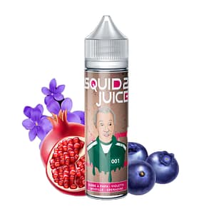 001 - SQUID2 JUICE