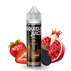MASTER - SQUID2 JUICE